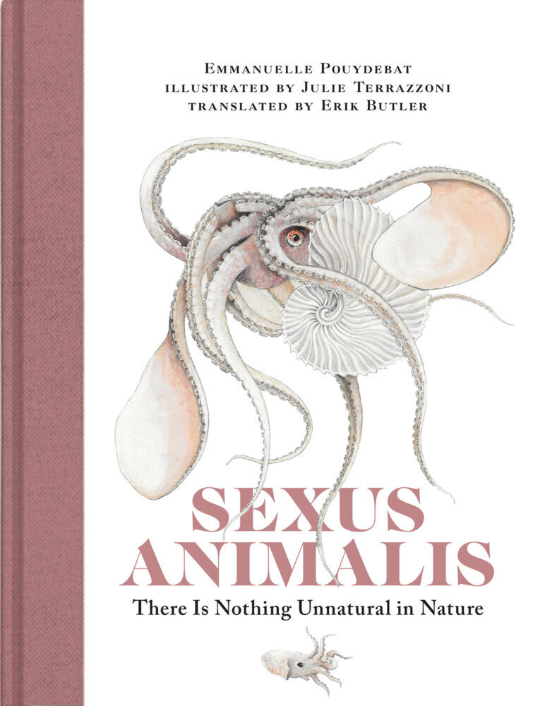 Thumbnail - Sexus Animalis | Emmanuelle Pouydebat, Julie Terrazzoni | 2022 |