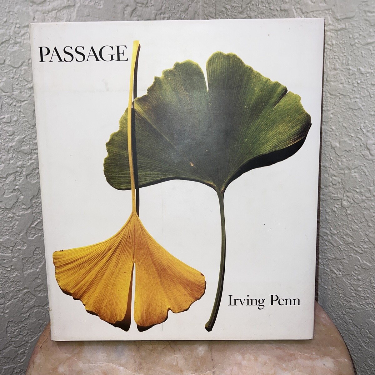 Passage by Irving Penn first edition Near-mint Condition Never
