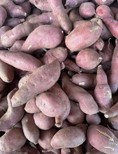 Fresh Japanese Sweet Potatoes Yam Red Skin White Flesh - Small Roots 5lbs