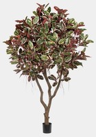 Artplants KüNstlicher Ficus Elastica Thim, Kunststamm, Rot-Weiß-GrüN, 295Cm