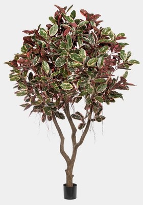 artplants Künstlicher Ficus elastica THIM, Kunststamm, rot-weiß-grün, 295cm