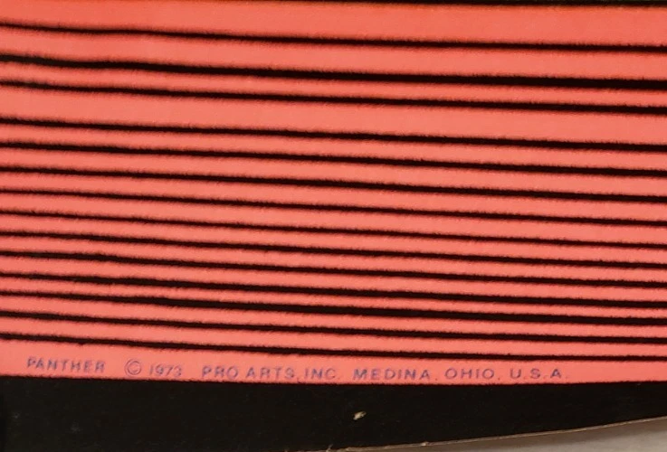 VINTAGE 1973 PRO ARTS BLACK PANTHER BLACK LIGHT POSTER FLOCKED VELVET - image 2 of 4