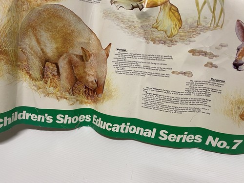 Clarks Amazing Australian Animals Poster Wildlife Natures Series No 7 Vintage - Bild 6 von 9