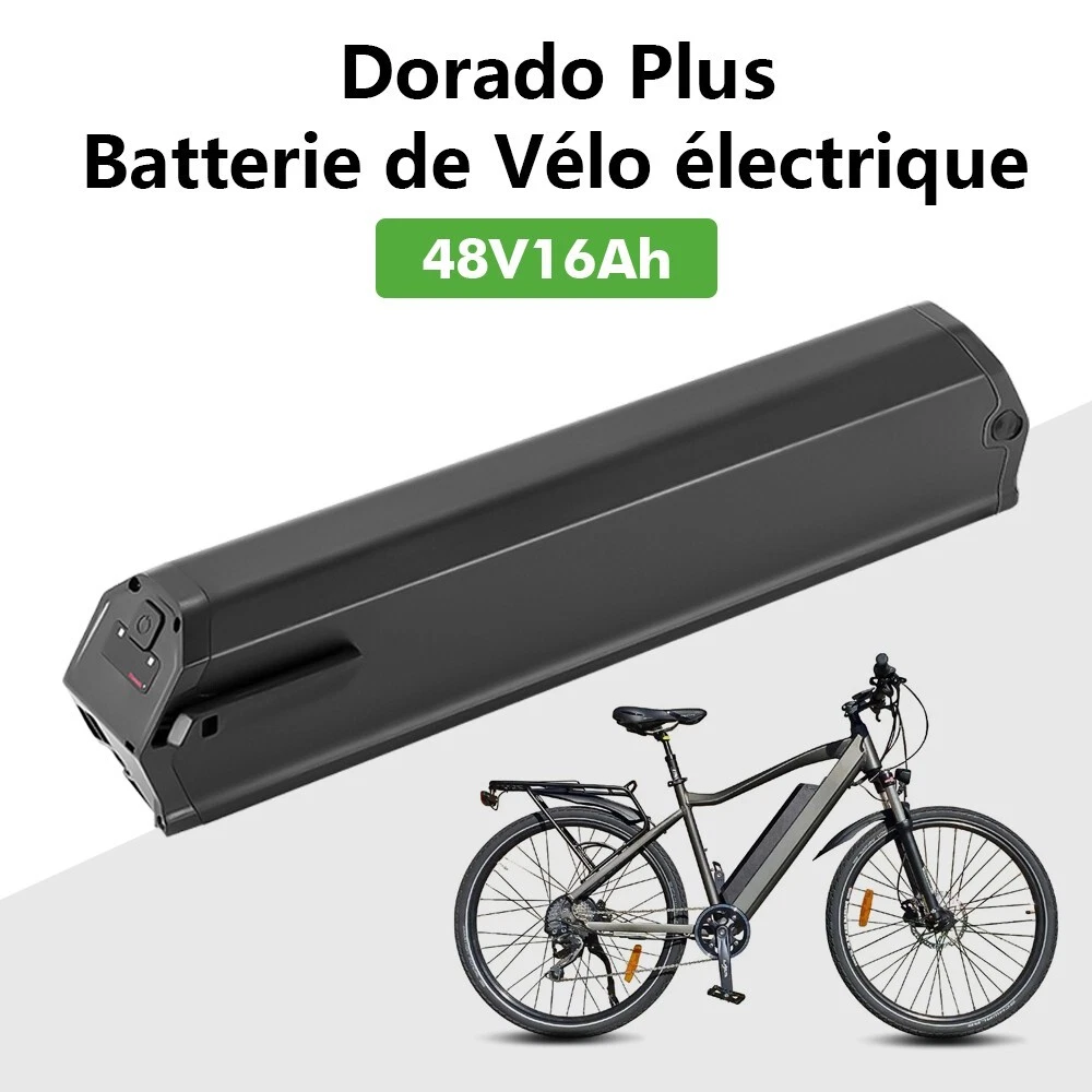 Batterie de vélo électrique 48 V 28 Ah Lithium Ion Luxembourg