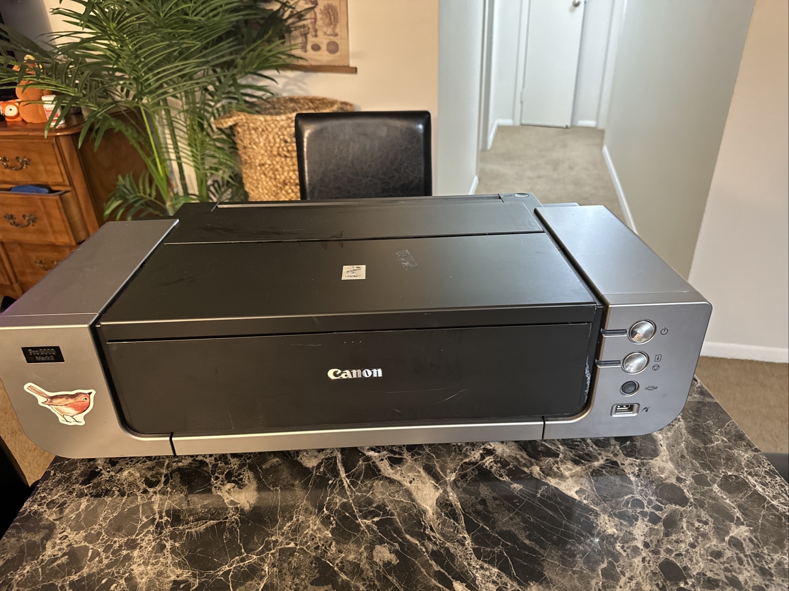 Excellent PIXMA Pro9000 MKII Inkjet Photo Printer 3295B002 With Lots Of