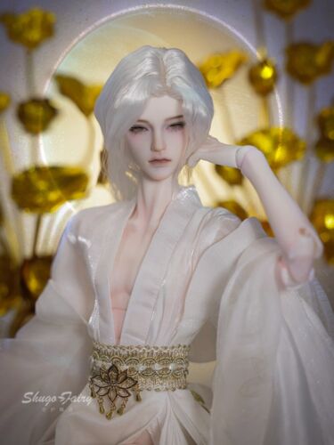 1/4 BJD Doll Resin SD Ball Joint Body Male Boy Ace with Eyes Face Makeup Gift - Picture 6 of 6