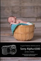 Gary Friedman | La GuíA Friedman Archives Para La Sony Alpha 6300 (EdicióN En...