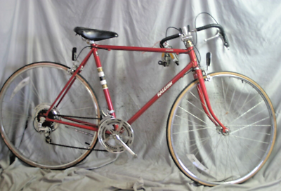 1980 Raleigh Rapide Touring Road Bike 55cm Medium Lugged