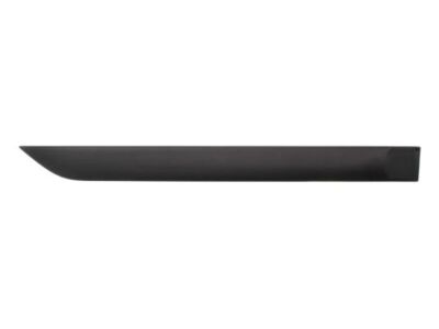 BLIC 5703-04-2532578P Trim/Protective Strip, wing for Ford