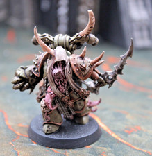 Deathguard Plague Marine Champion, Well Painted, ID 5917
