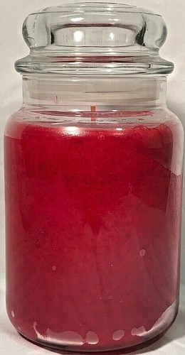 RARE Yankee Candle HOLIDAY 22oz LARGE JAR RETIRED WINTER LIMITD ED SCENTS U PICK - Picture 145 of 230