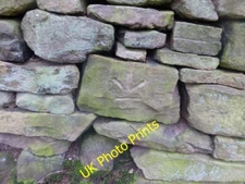 Photo 6x4 Cut Mark Leeside Rd 226 metres above sea level Bamford/SK2083  c2015