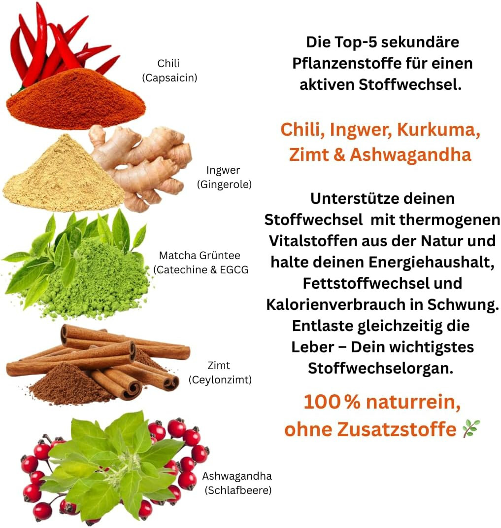 Bild 5 von 8