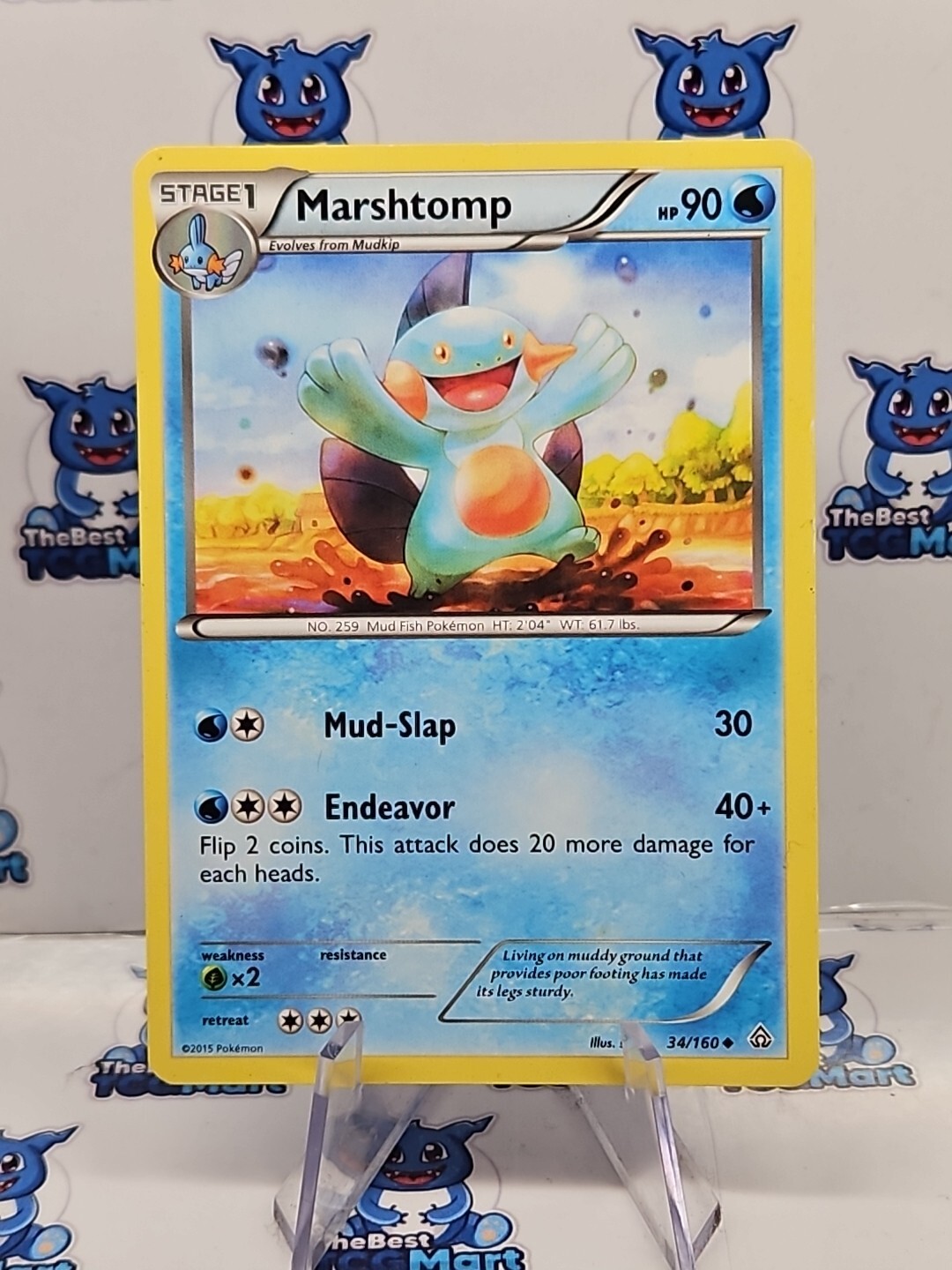 Marshtomp 34/160 Primal Clash Pokemon LP