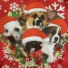 Party animal dogs Christmas red sweatshirt unisex size m pugs st Bernard’s bells
