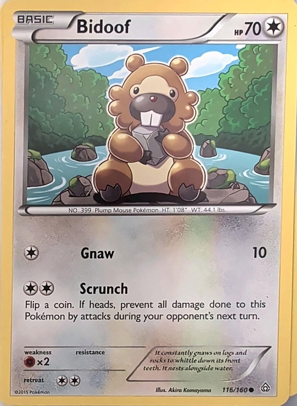 Bidoof 116/160 Common Primal Clash Pokemon Lightly Played
