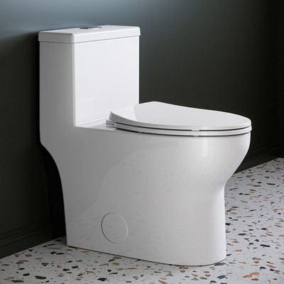 Elongated One Piece Toilet W/ Comfort Seat ADA 17'',Powerful Dual Flush