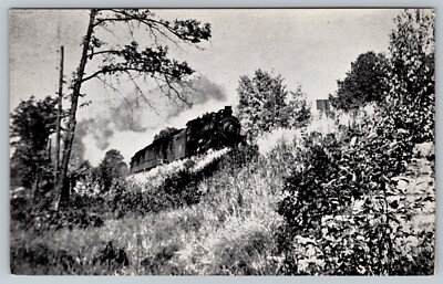 #ad Chicago Northwestern Passenger Train Woodruff Wisconsin WI Postcard $3.99