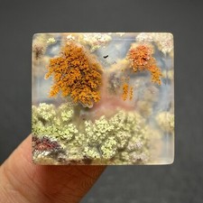 Scenic Moss Agate Cabochon 23x22x5mm High Quality 28.5 ct