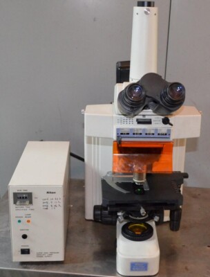 Nikon Eclipse E600 Fluorescence Microscope [#A403]