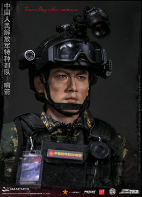Damtoys 78048 1/6 Chinese People'S Liberation Army Special Force