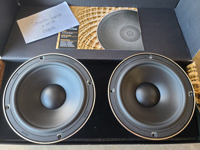 Morel Hybrid MW6 Midrange Midbass Door Speakers