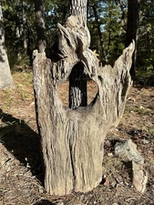 Driftwood XXL with Keyhole - Door to Troll House