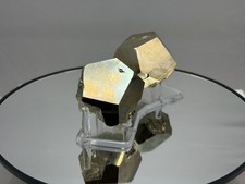 PYRITES with stand Spruce Ridge King County Claim #16, Washington State