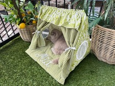 Personalized Cat Tent Bed, Indoor Pet House for Cats, Custom Name Embroidered