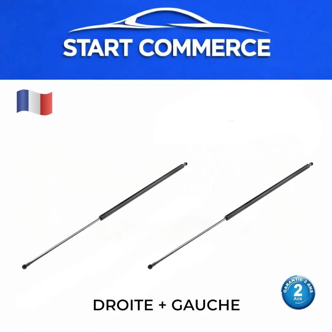 Vérins de coffre pour Renault Kangoo OE 8200497806 pour réparer un hayon lourd qui tombe