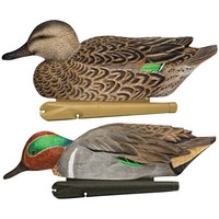 Avian X Top Flight Duck Decoy Green Wing Teal Floater 6 Pk. 8081 on sale Avian X Top Flight Duck Decoy Green Wing Teal Floater 6 Pk. 8081 on sale