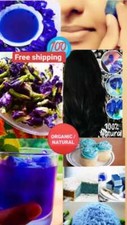 Dried Butterfly Pea Organic Herbal Clitoria ternatea blue flower free shipping
