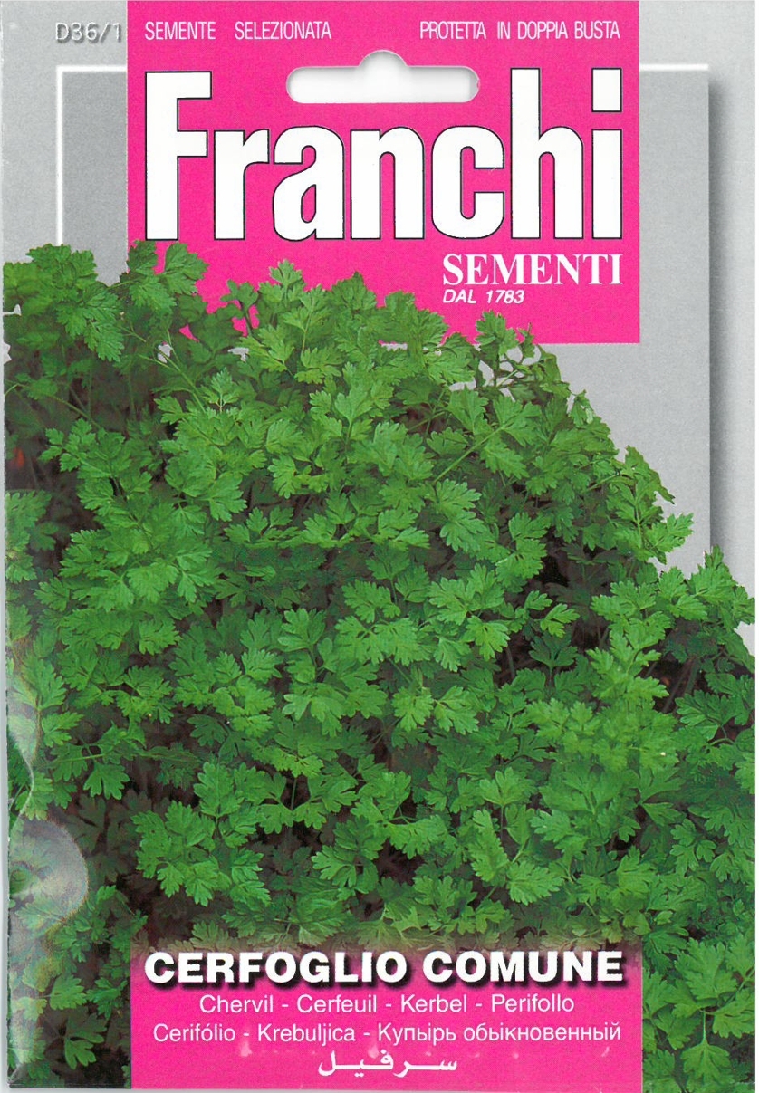 Franchi Seeds Herbs Chervil Cerfoglio Comune seed
