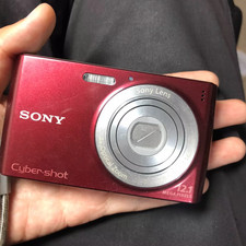 Sony W510 Cyber-shot DSC Digital Camera 12.1MP 4x Optical Zoom w/Charger