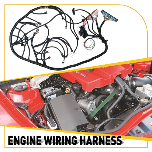 LS1 Harness Standalone Fits T56 OR Tran Non-Electric 4.8 6 5.3 DBC 35582 LS1 - Picture 12 of 18