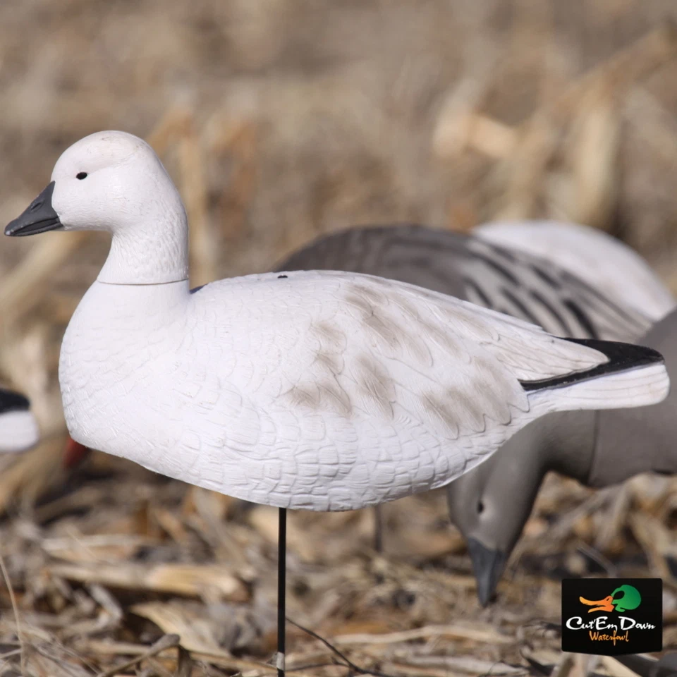 AVERY GREENHEAD GEAR GHG PRO GRADE LIFE SIZE SNOW GOOSE SHELLS HARVESTER PACK - Image 4 of 4