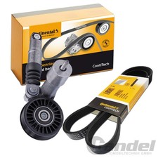 CONTINENTAL CTAM KEILRIPPENRIEMEN-SATZ passend für AUDI A4 A6 SKODA SUPERB VW