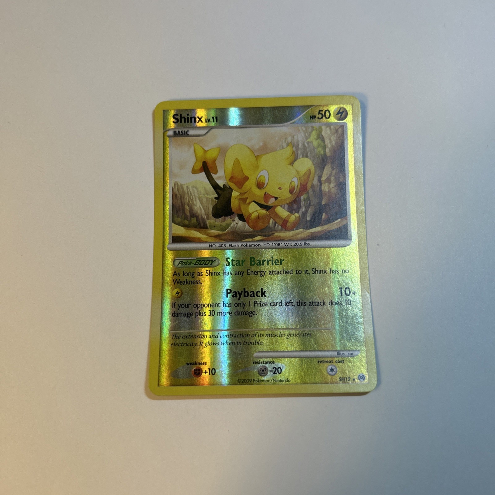 Pokémon Shinx SH12 Shiny Reverse Holo Rare Arceus Card 2009  