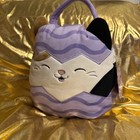 Cam the cat — photo 1