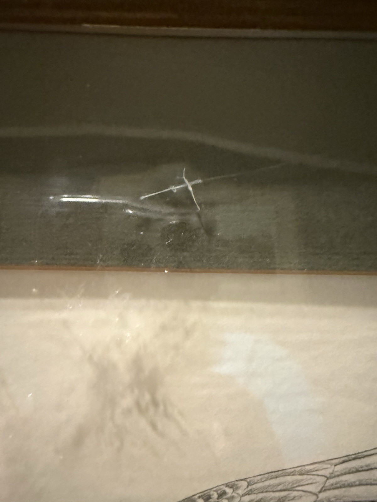Picture 6 of 7