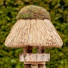 Bild 2 von 10