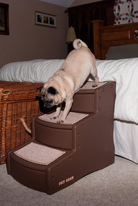 doggy step stool
