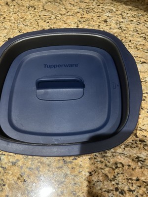Tupperware MicroPro Grill Micro Pro Series Microwave Grilling Base & Lid Cooking