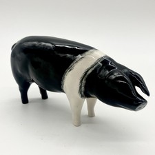 Beswick Wessex Saddleback Boar CH Faire Acre Viscount 1512 Pig Figure Sow Rare