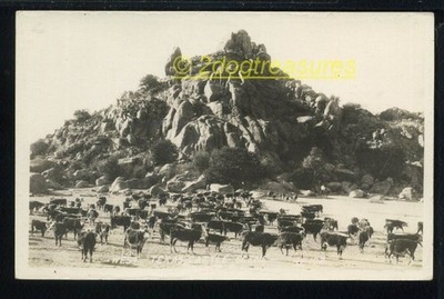 Rppc West Texas Cattle Ranch Cowboy On Horse Distinctive Rock Formation Mor Old