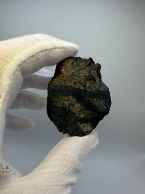 NWA 17912 H6 Melt Breccia Meteorite 37 gram full Large slice w/ large Melt Veins