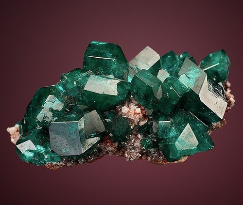 Dioptasa, mina Tsumeb, Tsumeb, región de Otjikoto, Namibia, 1801-26 - Imagen 3 de 4