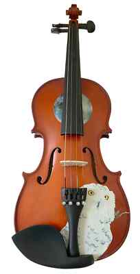 Mystic Owl Violin Outfit 1/8
