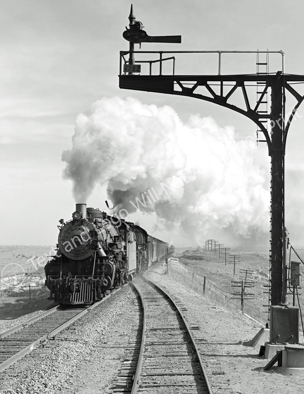 1943 Atchison, Topeka and Santa Fe Train, near Hoover, Texas Old Photo Reprint