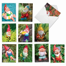 10 Blank All Occasion Cards Pack - Gnome Notes